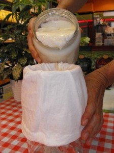 初乳 チーズ 作り方 酢 ナムル
