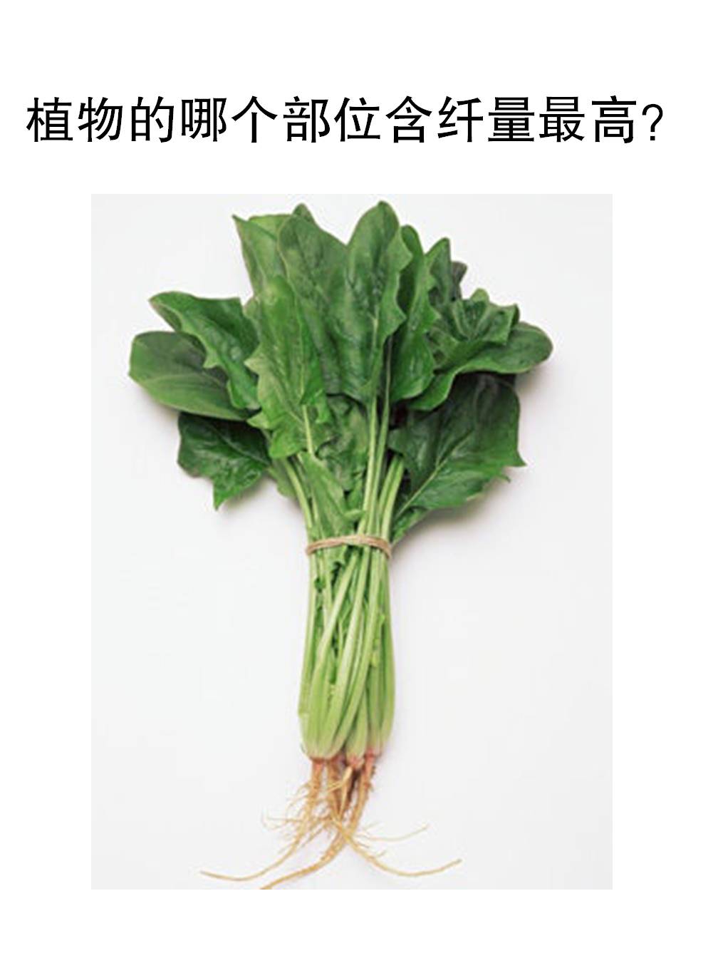 蔬菜哪个部分，纤维最高和均衡？