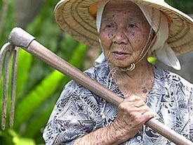 okinawan centenarian